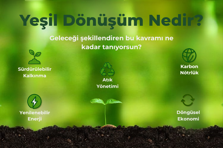 Yeşil Dönüşüm Platformu